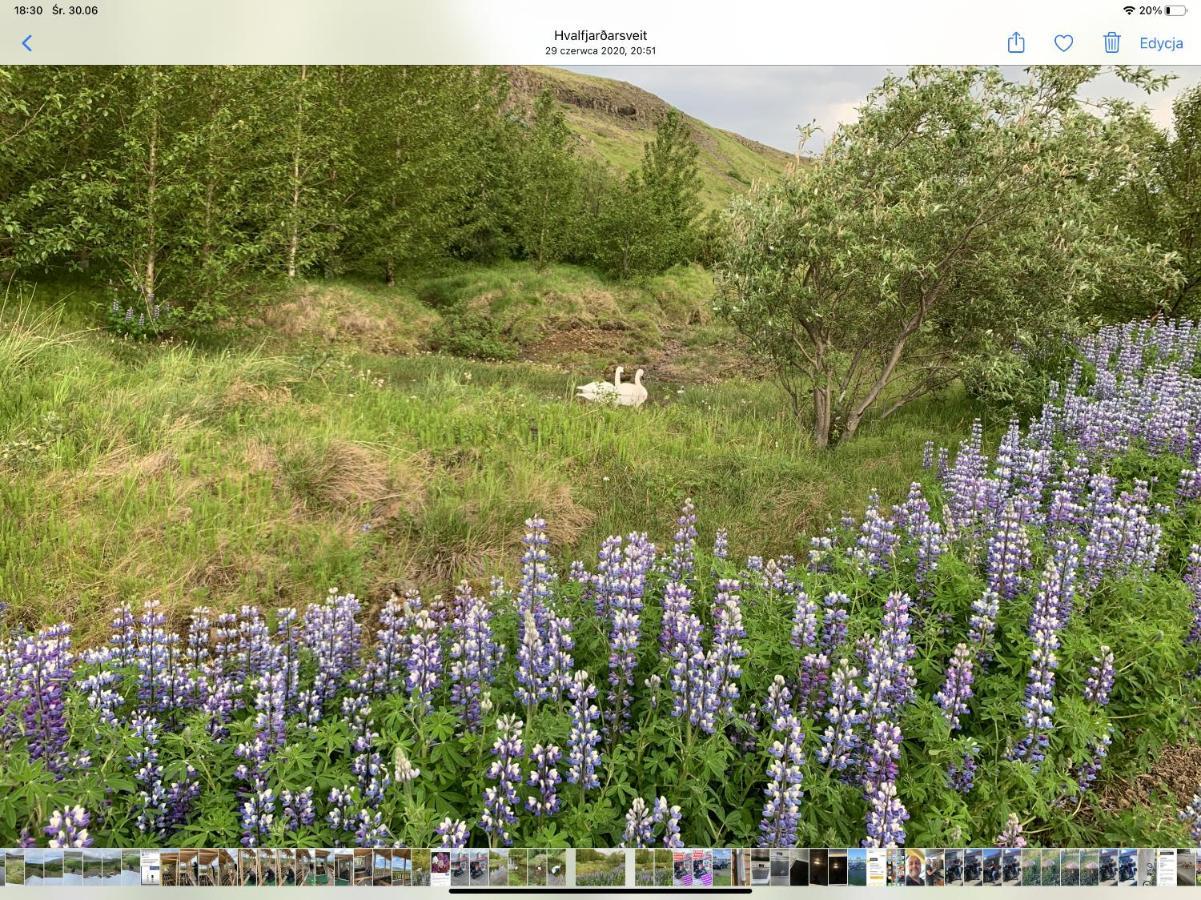 Icelandic Lake House Akranes Exterior photo